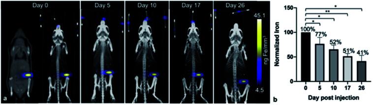 https://cdn.ncbi.nlm.nih.gov/pmc/blobs/30b4/9400501/bc11b702058e/d2na00008c-f2.jpg