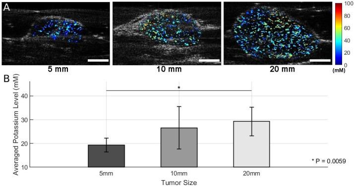 https://cdn.ncbi.nlm.nih.gov/pmc/blobs/30b5/12349659/0017b6075ad2/sensors-25-04724-g004.jpg
