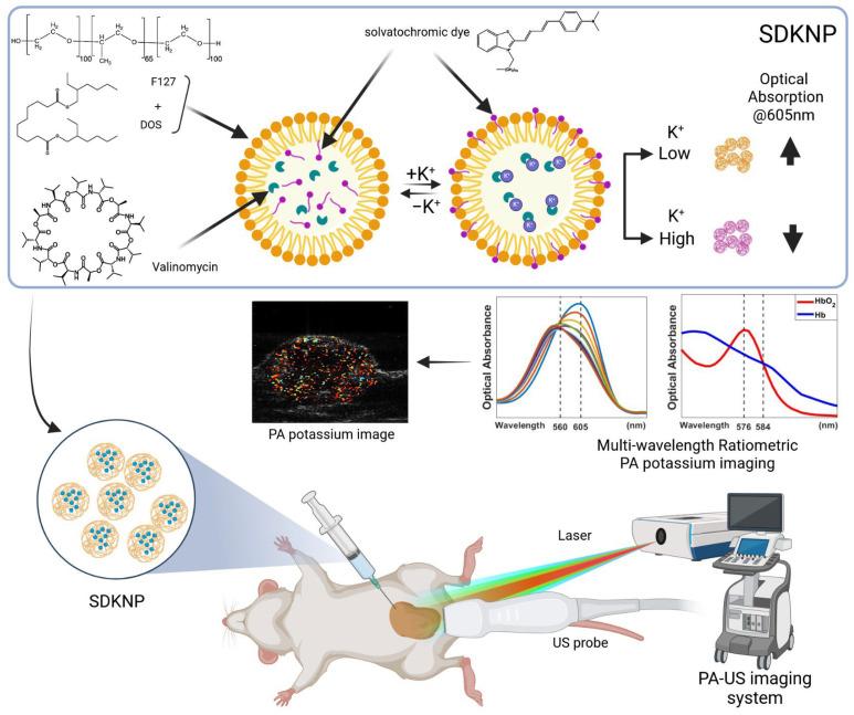 https://cdn.ncbi.nlm.nih.gov/pmc/blobs/30b5/12349659/3001ea84dab6/sensors-25-04724-g001.jpg