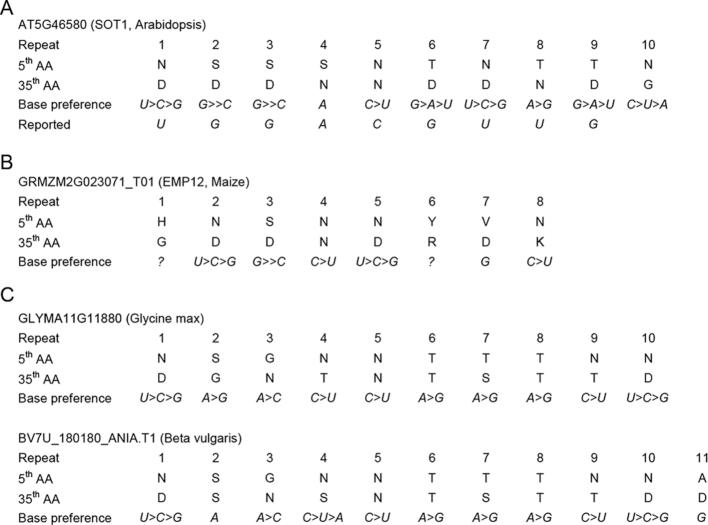 https://cdn.ncbi.nlm.nih.gov/pmc/blobs/30b5/6468296/3d3e6f09c948/gkz075fig5.jpg