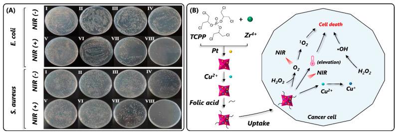 https://cdn.ncbi.nlm.nih.gov/pmc/blobs/30b7/10856890/137936de8685/nanomaterials-14-00244-g011.jpg