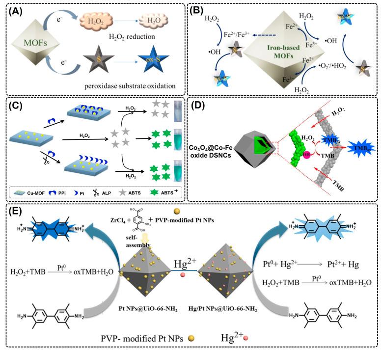 https://cdn.ncbi.nlm.nih.gov/pmc/blobs/30b7/10856890/182e8457e832/nanomaterials-14-00244-g002.jpg