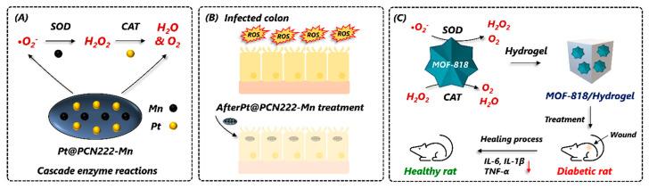 https://cdn.ncbi.nlm.nih.gov/pmc/blobs/30b7/10856890/1a7797c434b1/nanomaterials-14-00244-g012.jpg