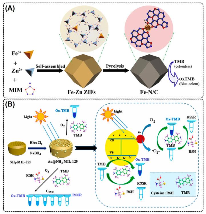 https://cdn.ncbi.nlm.nih.gov/pmc/blobs/30b7/10856890/ab6d48b03fb0/nanomaterials-14-00244-g003.jpg