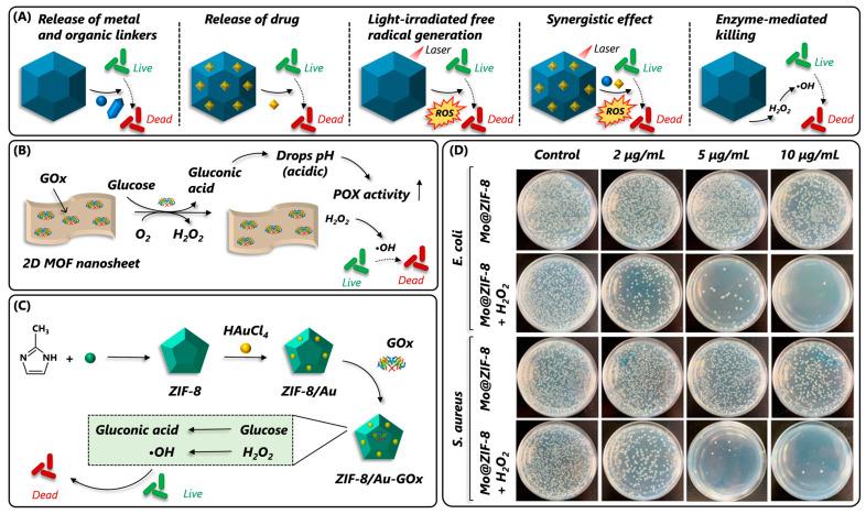https://cdn.ncbi.nlm.nih.gov/pmc/blobs/30b7/10856890/cbd669cf82bc/nanomaterials-14-00244-g013.jpg