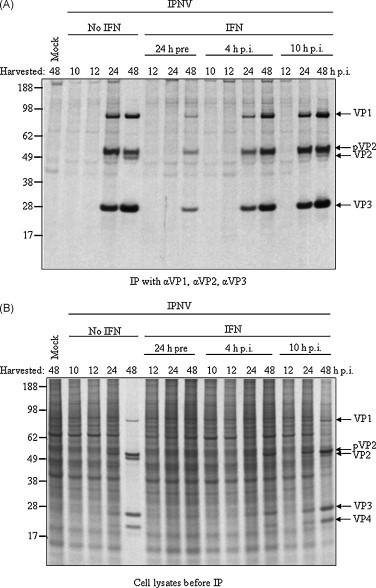 https://cdn.ncbi.nlm.nih.gov/pmc/blobs/30b7/7114382/066a65788dc7/gr3.jpg