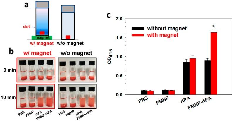 https://cdn.ncbi.nlm.nih.gov/pmc/blobs/30b7/7215398/092a4800d66c/ijms-21-02690-g010.jpg