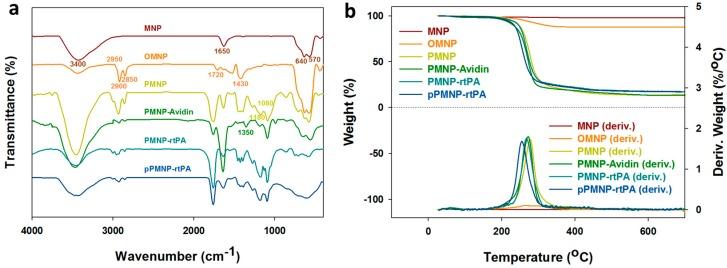 https://cdn.ncbi.nlm.nih.gov/pmc/blobs/30b7/7215398/9bc49c31f2dd/ijms-21-02690-g006.jpg