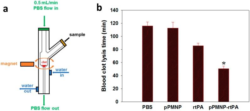 https://cdn.ncbi.nlm.nih.gov/pmc/blobs/30b7/7215398/c166fbc1cf09/ijms-21-02690-g012.jpg