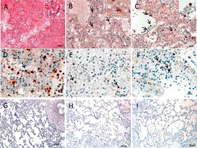 https://cdn.ncbi.nlm.nih.gov/pmc/blobs/30b9/5552218/d96685cb6dfa/gr4.jpg