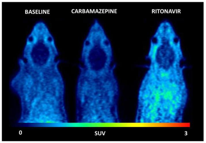https://cdn.ncbi.nlm.nih.gov/pmc/blobs/30b9/9785688/75d4436bbeef/pharmaceutics-14-02650-g001.jpg