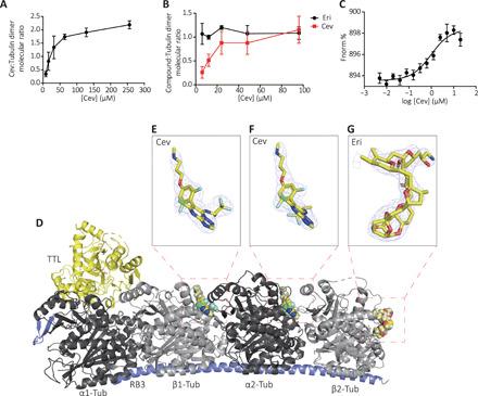 https://cdn.ncbi.nlm.nih.gov/pmc/blobs/30ba/8133757/672d73677899/abg4168-F3.jpg