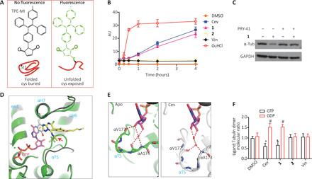 https://cdn.ncbi.nlm.nih.gov/pmc/blobs/30ba/8133757/a2223f02790d/abg4168-F5.jpg