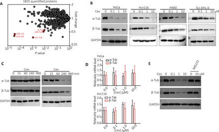 https://cdn.ncbi.nlm.nih.gov/pmc/blobs/30ba/8133757/dbd337709293/abg4168-F1.jpg