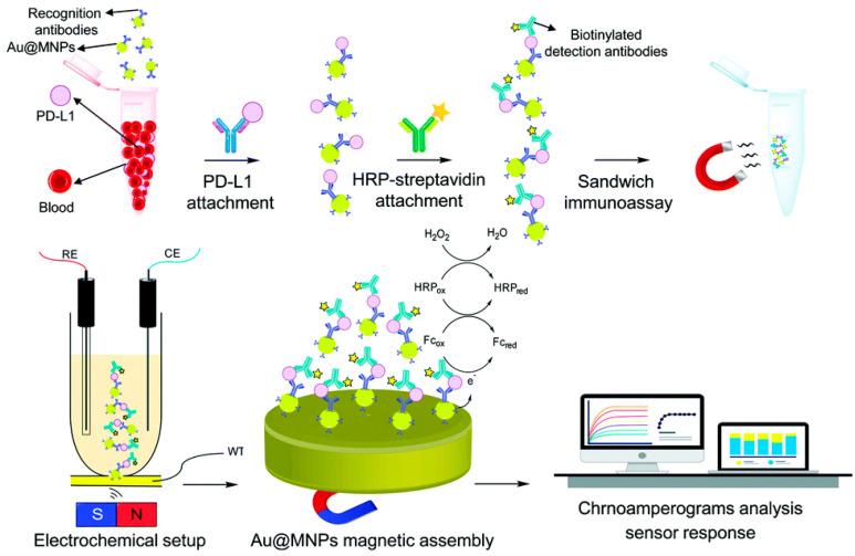 https://cdn.ncbi.nlm.nih.gov/pmc/blobs/30ba/9919359/1333cd2b280c/sensors-23-01482-g004.jpg