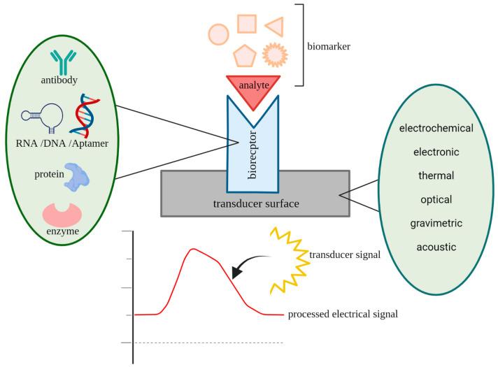 https://cdn.ncbi.nlm.nih.gov/pmc/blobs/30ba/9919359/e89213124a39/sensors-23-01482-g001.jpg