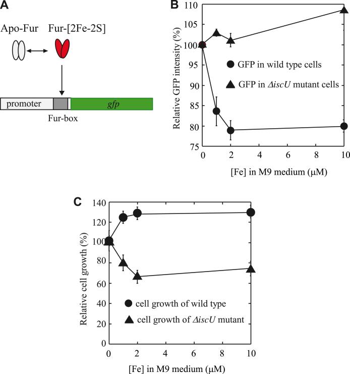 https://cdn.ncbi.nlm.nih.gov/pmc/blobs/30bb/11001641/67d13da24d8a/gr3.jpg