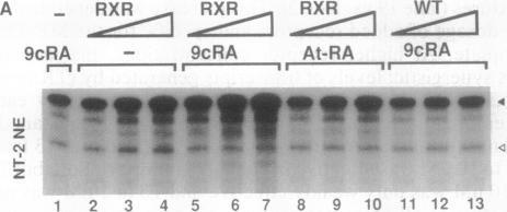 https://cdn.ncbi.nlm.nih.gov/pmc/blobs/30bb/43220/2a04e31d53ad/pnas01127-0060-a.jpg