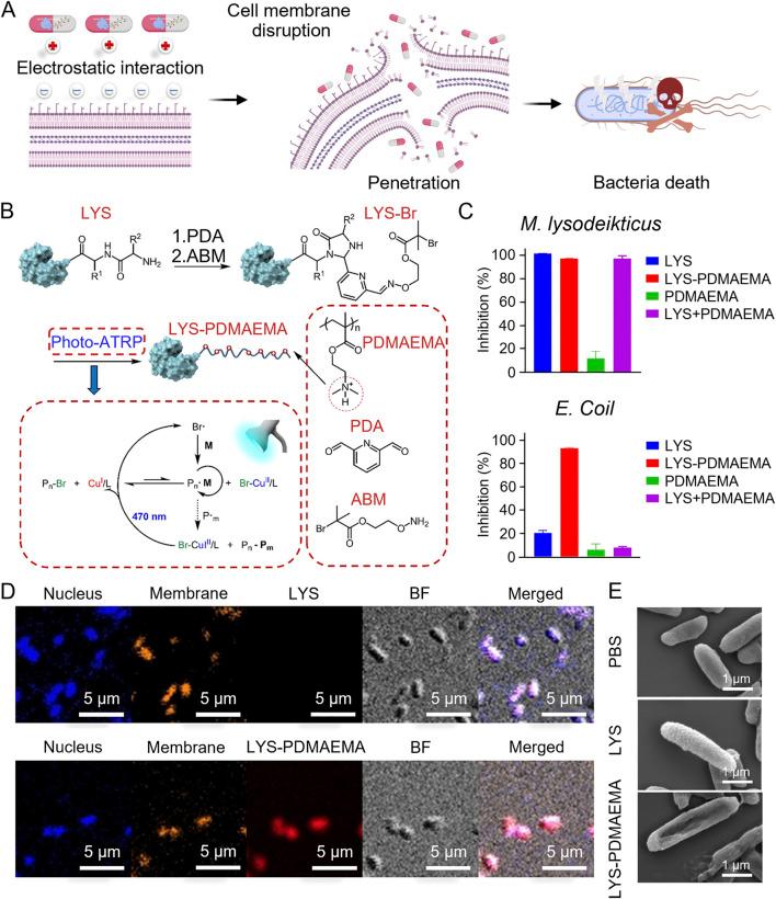 https://cdn.ncbi.nlm.nih.gov/pmc/blobs/30bc/11743519/1c4e2ef29e04/fphar-15-1533964-g001.jpg