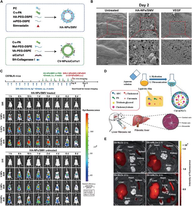 https://cdn.ncbi.nlm.nih.gov/pmc/blobs/30bd/11214848/95effeda3685/bmr.0042.fig.004.jpg