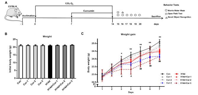 https://cdn.ncbi.nlm.nih.gov/pmc/blobs/30bd/11706931/32805cbbabbc/41598_2024_82571_Fig1_HTML.jpg