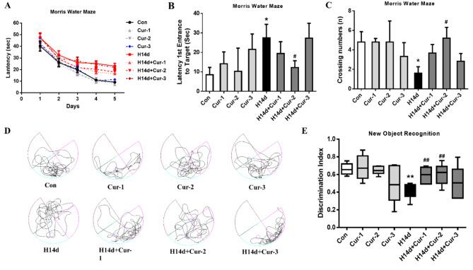 https://cdn.ncbi.nlm.nih.gov/pmc/blobs/30bd/11706931/4f86b04f92a7/41598_2024_82571_Fig3_HTML.jpg