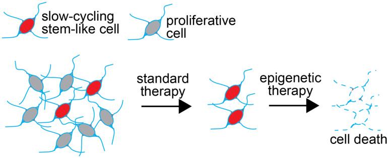 https://cdn.ncbi.nlm.nih.gov/pmc/blobs/30bd/9563350/c967d0e09978/cancers-14-04942-g001.jpg