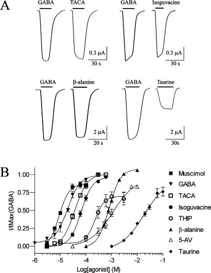 https://cdn.ncbi.nlm.nih.gov/pmc/blobs/30be/2852148/94a7c7594fd0/bi-2009-01698c_0005.jpg