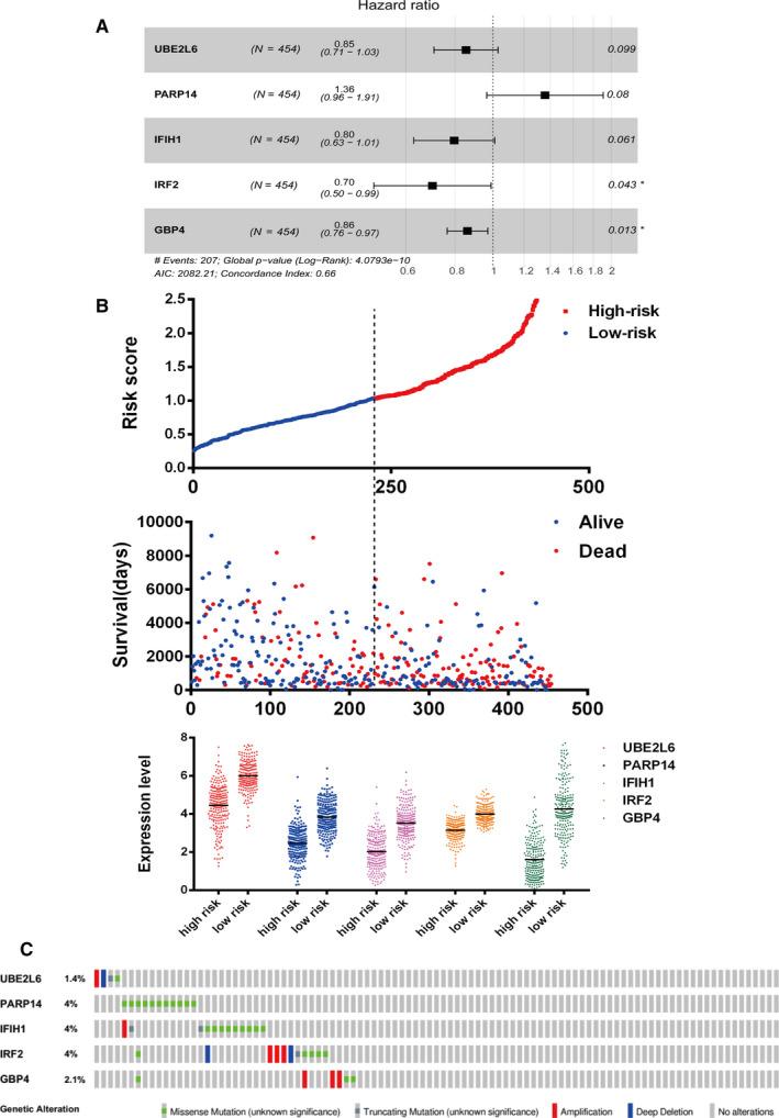 https://cdn.ncbi.nlm.nih.gov/pmc/blobs/30be/7643661/89d99e6f6cfc/CAM4-9-8186-g005.jpg