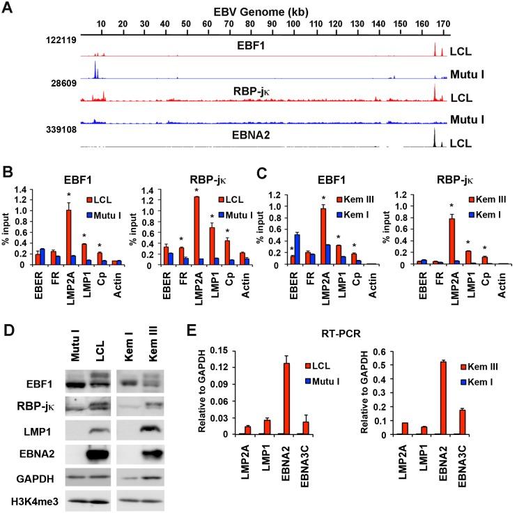 https://cdn.ncbi.nlm.nih.gov/pmc/blobs/30bf/4709166/0ecb1c4fbc83/ppat.1005339.g001.jpg