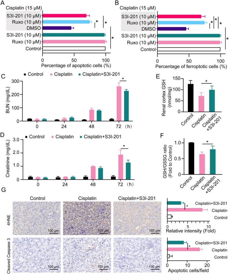 https://cdn.ncbi.nlm.nih.gov/pmc/blobs/30bf/9879199/1ad401a760c2/YRER_A_2152607_F0004_OC.jpg