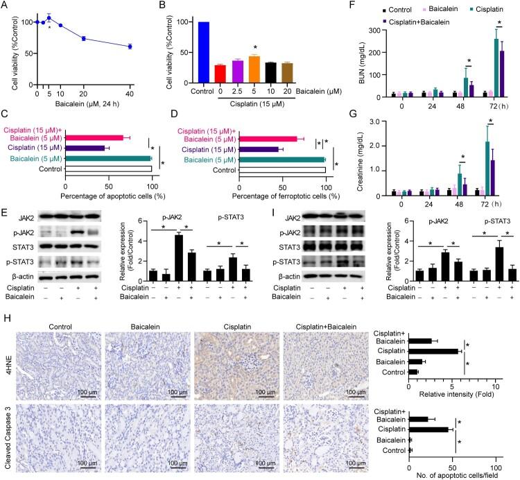 https://cdn.ncbi.nlm.nih.gov/pmc/blobs/30bf/9879199/25a9d0d7ff5e/YRER_A_2152607_F0005_OC.jpg