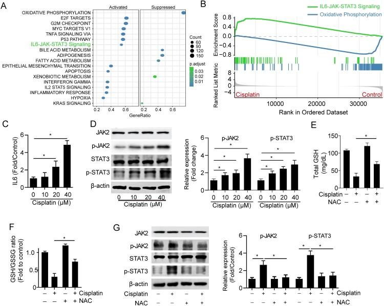 https://cdn.ncbi.nlm.nih.gov/pmc/blobs/30bf/9879199/c8f4f3afb0f2/YRER_A_2152607_F0003_OC.jpg