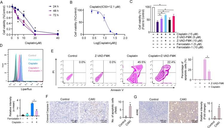 https://cdn.ncbi.nlm.nih.gov/pmc/blobs/30bf/9879199/ca10da505a19/YRER_A_2152607_F0002_OC.jpg