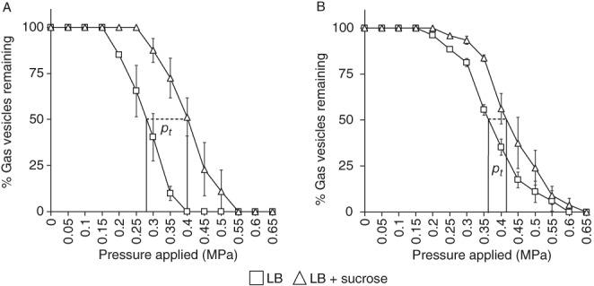 https://cdn.ncbi.nlm.nih.gov/pmc/blobs/30c0/6617781/1abed6d4ae6c/EMI-21-2499-g008.jpg