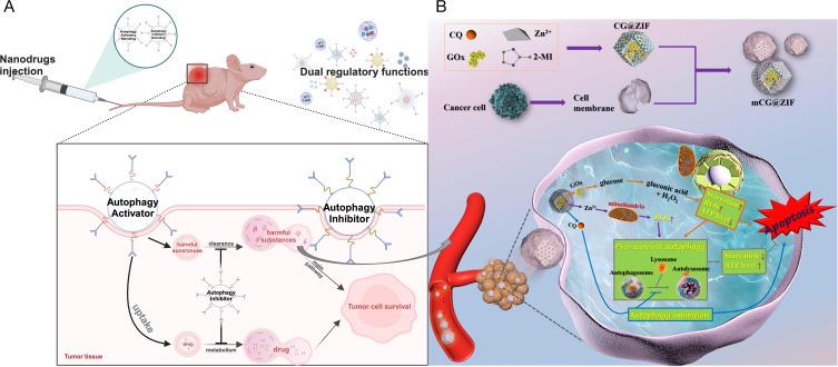 https://cdn.ncbi.nlm.nih.gov/pmc/blobs/30c2/10826716/3060a5c1a60d/IJN-19-917-g0005.jpg