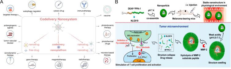 https://cdn.ncbi.nlm.nih.gov/pmc/blobs/30c2/10826716/f4b09c127279/IJN-19-917-g0003.jpg