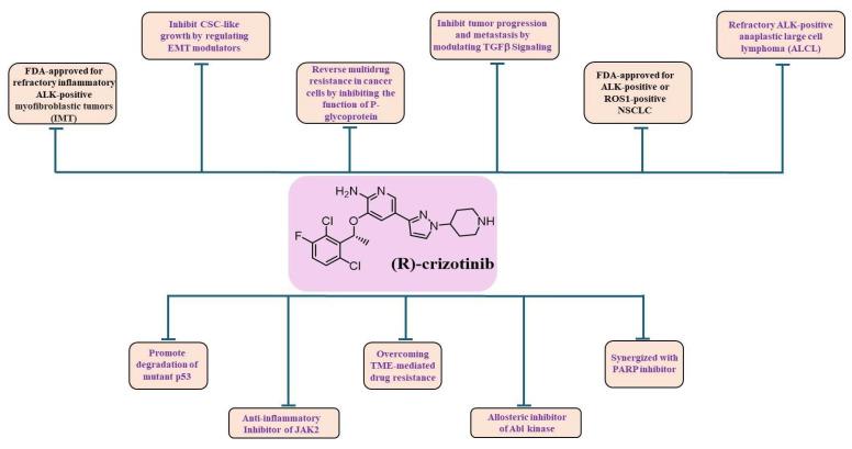 https://cdn.ncbi.nlm.nih.gov/pmc/blobs/30c2/11240740/fed3b0debd0e/cancers-16-02479-g002.jpg