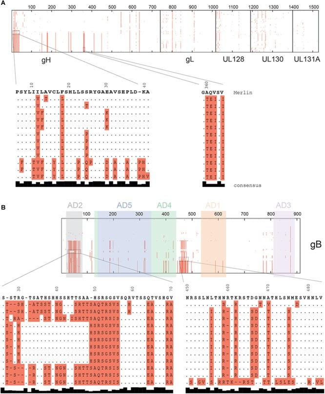 https://cdn.ncbi.nlm.nih.gov/pmc/blobs/30c4/6529531/ddf0e21f07c9/fmicb-10-01005-g003.jpg