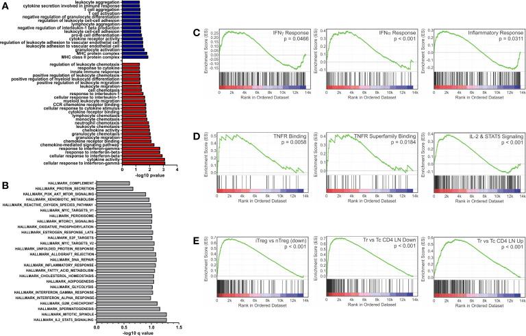 https://cdn.ncbi.nlm.nih.gov/pmc/blobs/30c5/7649347/8cad2c6a9e95/fimmu-11-556813-g001.jpg