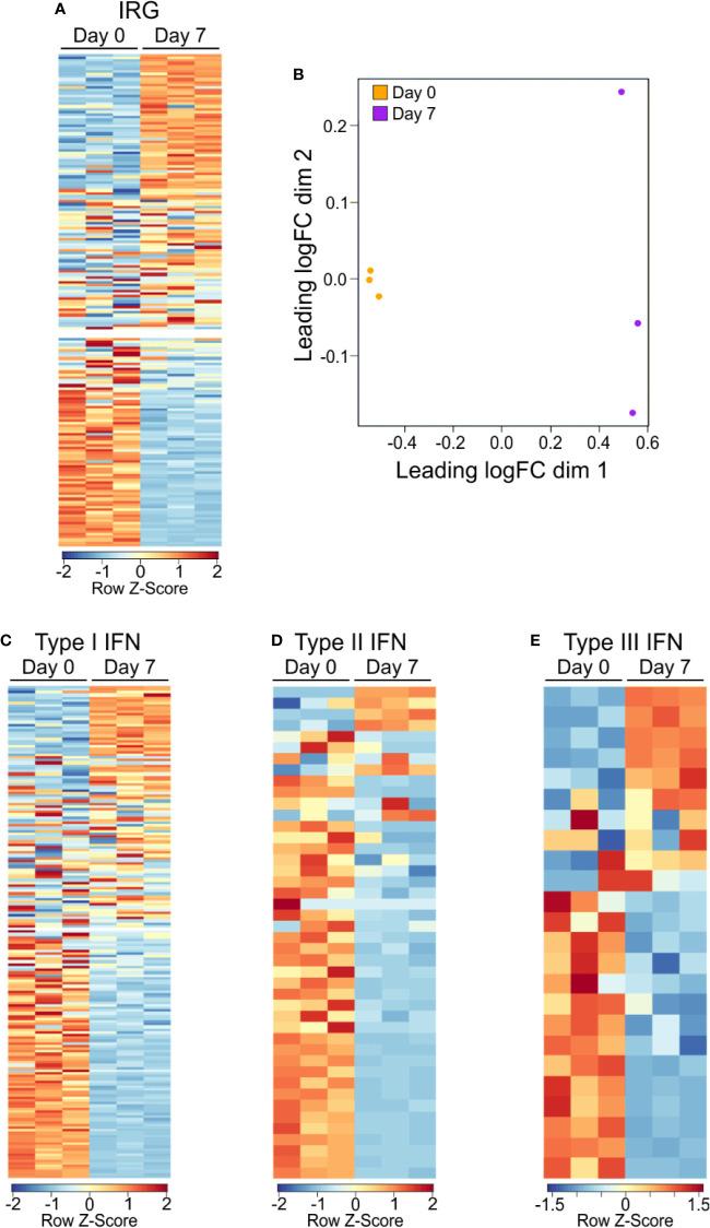 https://cdn.ncbi.nlm.nih.gov/pmc/blobs/30c5/7649347/c82c30e79d5f/fimmu-11-556813-g002.jpg