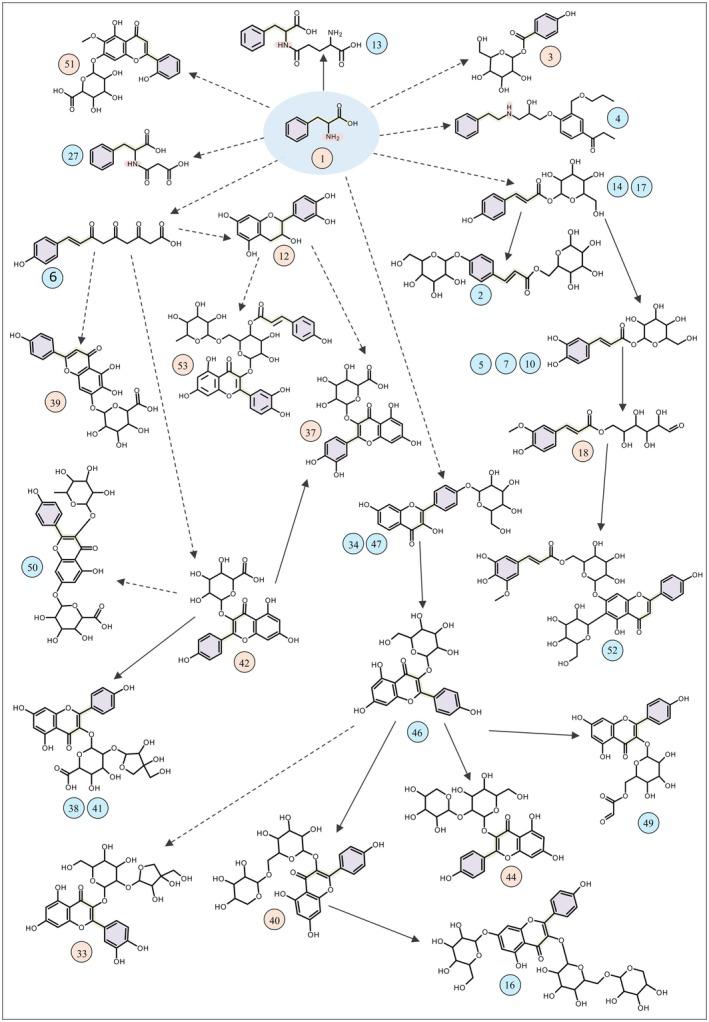 https://cdn.ncbi.nlm.nih.gov/pmc/blobs/30c6/12240604/3a08923e0a44/TPJ-123-0-g002.jpg