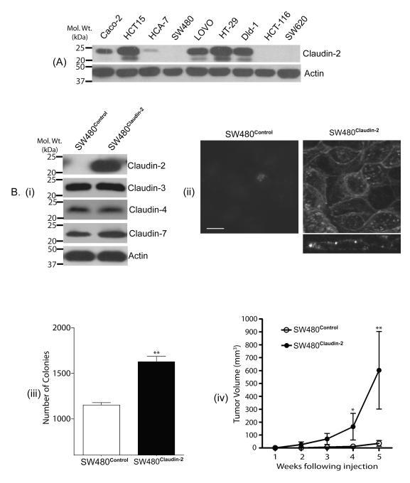 https://cdn.ncbi.nlm.nih.gov/pmc/blobs/30c6/3591522/023790102f9c/nihms-268286-f0002.jpg