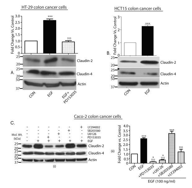 https://cdn.ncbi.nlm.nih.gov/pmc/blobs/30c6/3591522/dadaccf4bf4a/nihms-268286-f0007.jpg