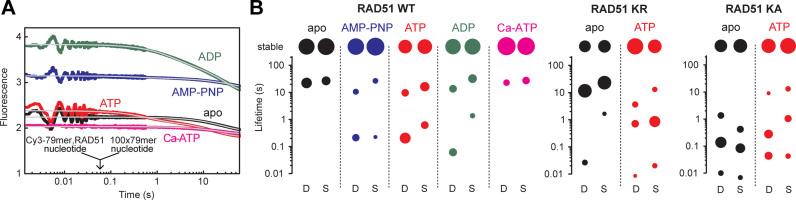 https://cdn.ncbi.nlm.nih.gov/pmc/blobs/30c6/5934667/379159b9cc1b/gky111fig4.jpg