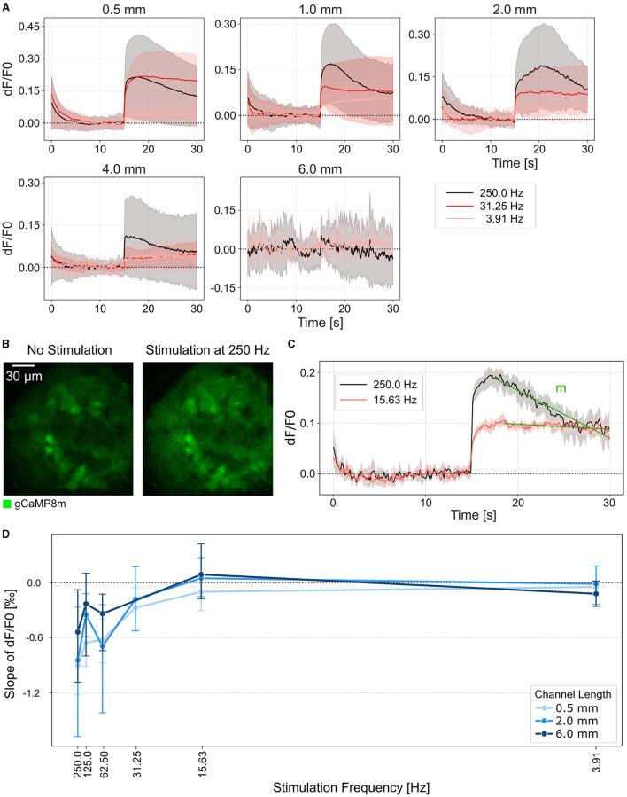 https://cdn.ncbi.nlm.nih.gov/pmc/blobs/30c9/11148348/256f97ee6d2a/fnins-18-1396966-g0005.jpg