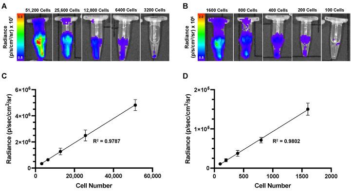 https://cdn.ncbi.nlm.nih.gov/pmc/blobs/30c9/11598277/61f86f03fad8/tomography-10-00135-g003.jpg