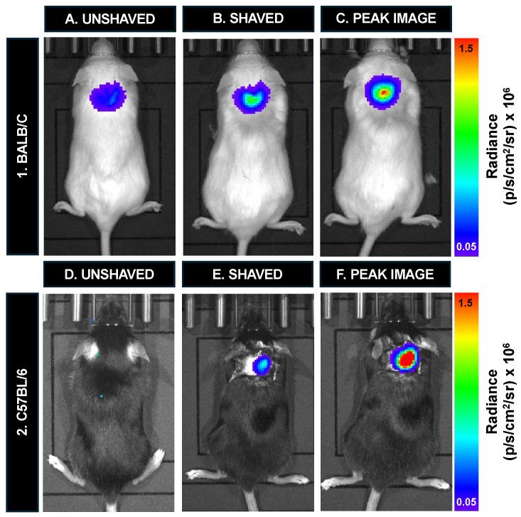 https://cdn.ncbi.nlm.nih.gov/pmc/blobs/30c9/11598277/634d79eca026/tomography-10-00135-g007.jpg