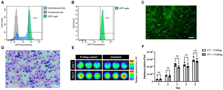https://cdn.ncbi.nlm.nih.gov/pmc/blobs/30c9/11598277/c13acac65821/tomography-10-00135-g001.jpg