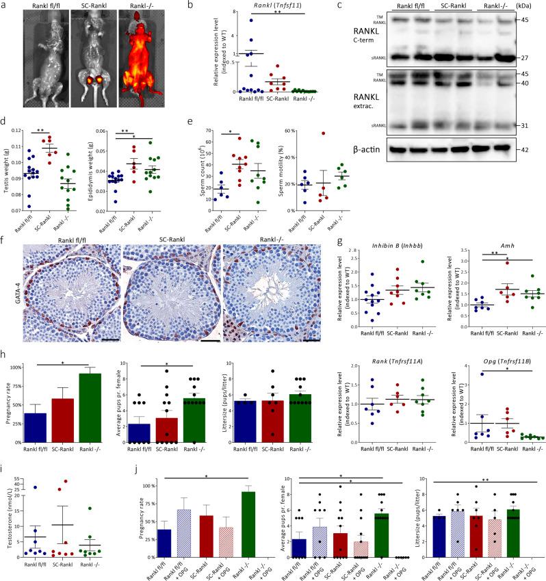 https://cdn.ncbi.nlm.nih.gov/pmc/blobs/30cb/8065035/30e33a8fb470/41467_2021_22734_Fig2_HTML.jpg